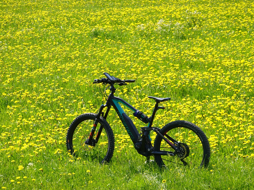 Rad fahren und Mountainbiking