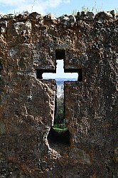 Thumbnail of d019.jpg
