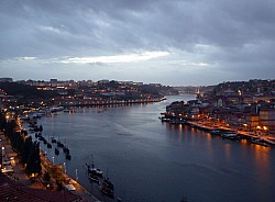 Thumbnail of d031.jpg