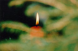 Thumbnail of d046.jpg