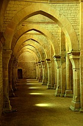 Thumbnail of d056.jpg