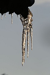 Thumbnail of d057.jpg
