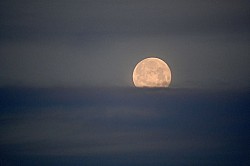 Thumbnail of d061.jpg