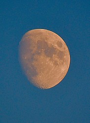 Thumbnail of d071.jpg
