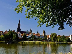 Thumbnail of d074.jpg